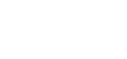 napoleon-films-logo